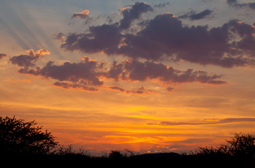 Africa Sunset Pilanesberg Black Rhino Game Lodge Pilanesberg Game Park Black Rhino Private Game Reserve